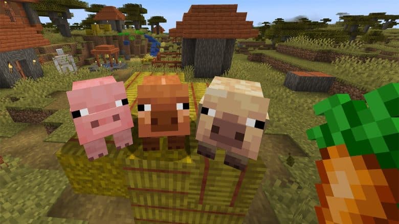 minecraft